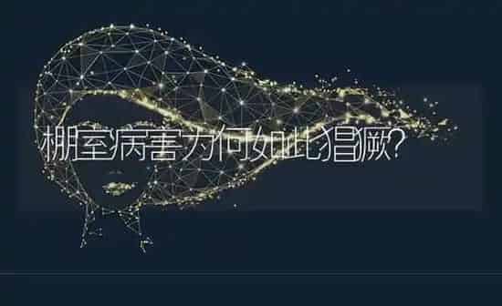 各种家畜青贮饲料的喂量 | 动物养殖饲料