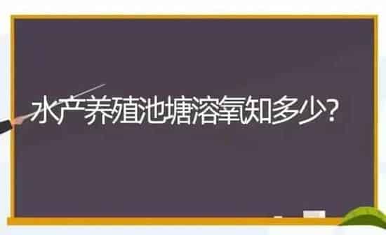 水产养殖池塘溶氧知多少？ | 动物养殖百科