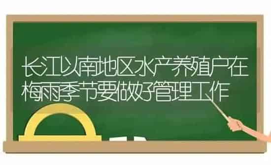 长江以南地区水产养殖户在梅雨季节要做好管理工作 | 动物养殖百科