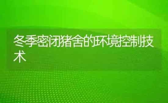 冬季密闭猪舍的环境控制技术 | 家畜养殖