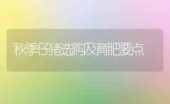 秋季仔猪选购及育肥要点 | 家畜养殖