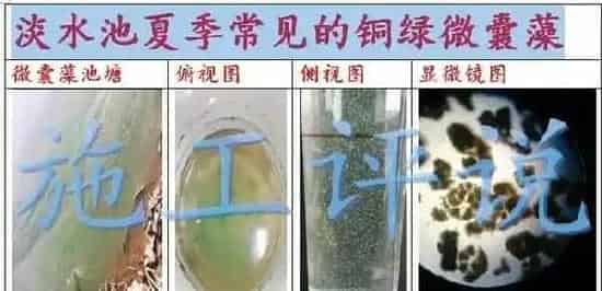 水产养殖生产中如何应用显微镜