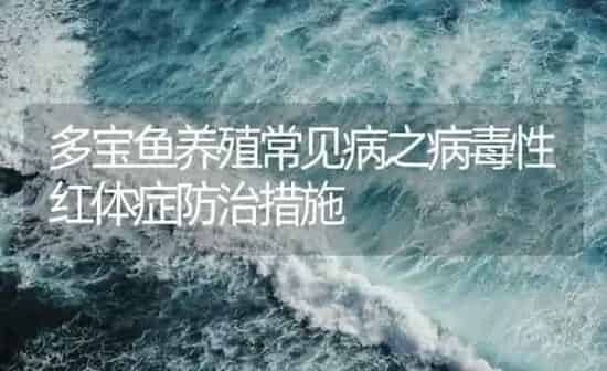 多宝鱼养殖常见病之病毒性红体症防治措施 | 海水养殖