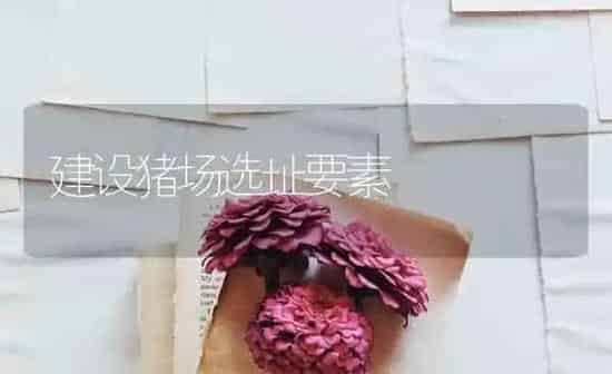 建设猪场选址要素 | 家畜养殖
