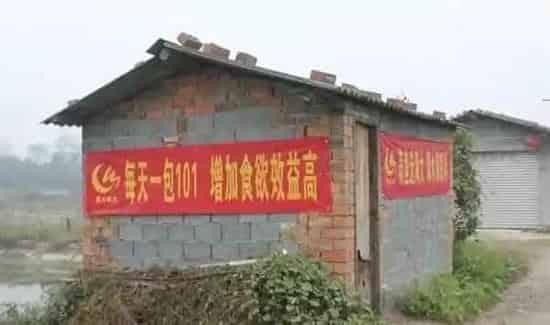 水产养殖新技术:重谈每天一包3101(海联科)