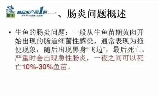 生鱼苗期肠炎的预防思路及治疗策略