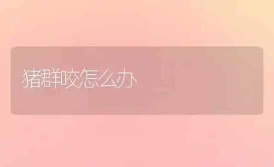 猪群咬怎么办 | 家畜养殖