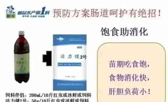 生鱼苗期肠炎的预防思路及治疗策略