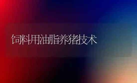 饲料用油脂养猪技术 | 家畜养殖