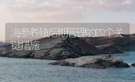 海参养殖后期管理的四个关键措施 | 海水养殖