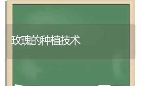 鱼病流行季节的药物预防技术 | 养殖病虫害防治