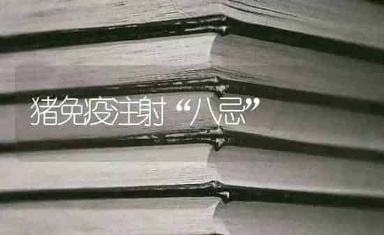 猪免疫注射“八忌” | 家畜养殖