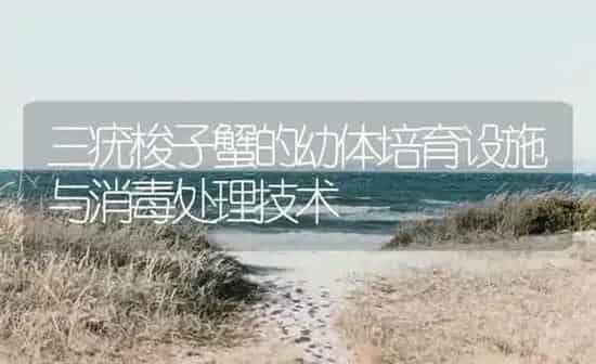 三疣梭子蟹的幼体培育设施与消毒处理技术 | 海水养殖