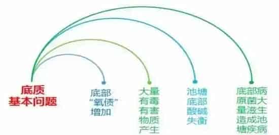 水产养殖户必问的10个问题，不信你试试