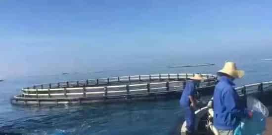 水产养殖过程中最全的网箱照片，你见过几种？