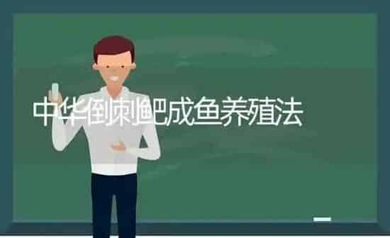 中华倒刺鲃成鱼养殖法 | 动物养殖百科