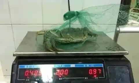 数据说话:河蟹四五壳如何做到100%的翻倍