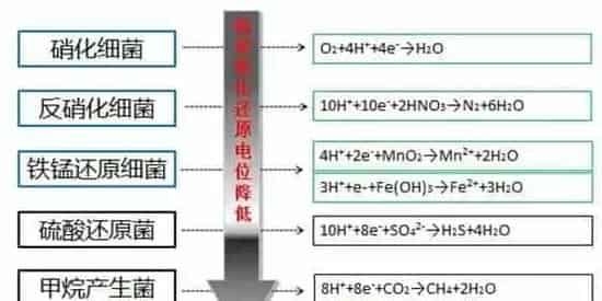 水产养殖户必问的10个问题，不信你试试