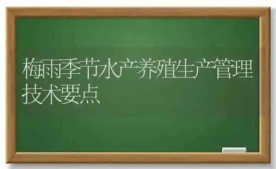梅雨季节水产养殖生产管理技术要点 | 动物养殖百科