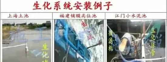 微生物在水产养殖过程中的创新想法分享的后续：关于固定微生物交流