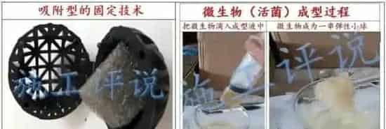 微生物在水产养殖过程中的创新想法分享的后续：关于固定微生物交流