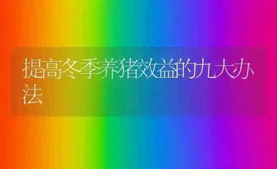 提高冬季养猪效益的九大办法 | 家畜养殖