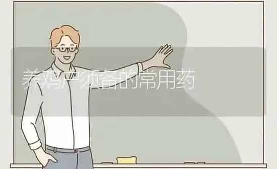 养鸡户须备的常用药 | 养殖病虫害防治