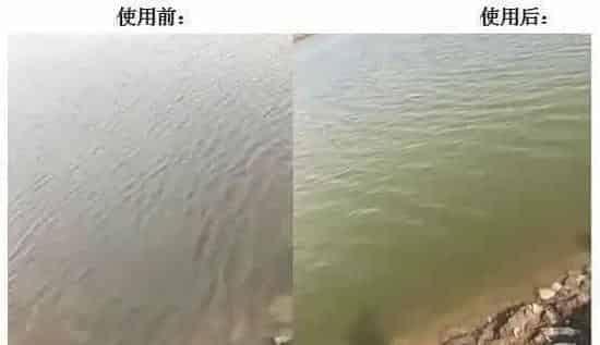 养殖误区：海水不需要调水！真的是这样吗？