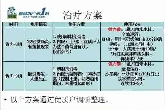 生鱼苗期肠炎的预防思路及治疗策略