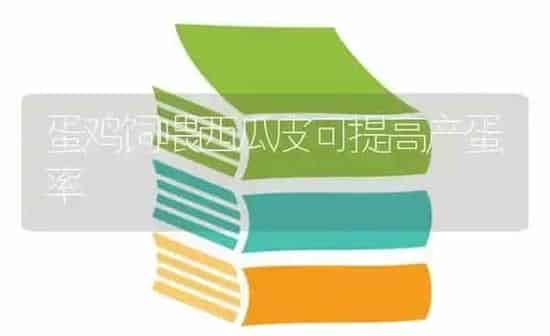 蛋鸡饲喂西瓜皮可提高产蛋率 | 家禽养殖