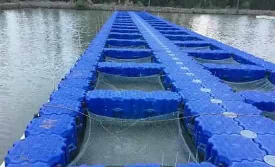 水产养殖过程中最全的网箱照片，你见过几种？