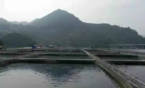 水产养殖过程中最全的网箱照片，你见过几种？