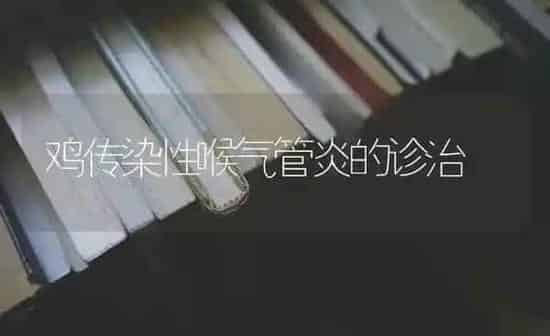 鸡传染性喉气管炎的诊治 | 家禽养殖