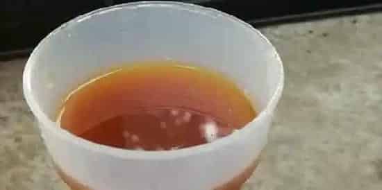 水产养殖户想简易扩培EM菌，其实就这么简单