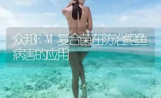 众邦EM复合菌在防治鲍鱼病害的应用 | 海水养殖