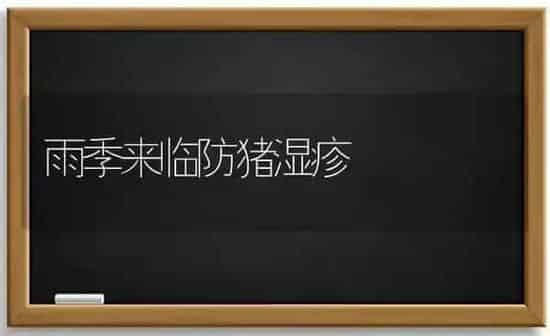 雨季来临防猪湿疹 | 家畜养殖