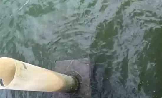 水产养殖排换水管理法则及其注意事项
