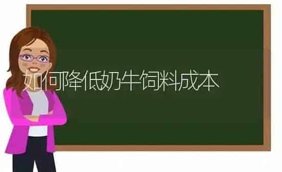 如何降低奶牛饲料成本 | 动物养殖饲料