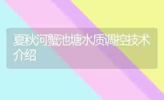 夏秋河蟹池塘水质调控技术介绍 | 淡水养殖