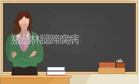 猪丛林腿蹄腐病 | 家畜养殖
