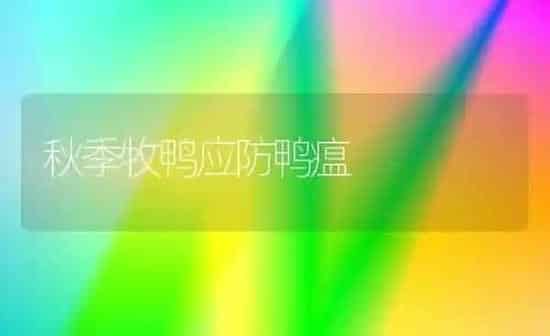 秋季牧鸭应防鸭瘟 | 家禽养殖