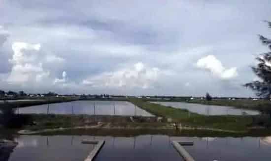 水产养殖排换水管理法则及其注意事项