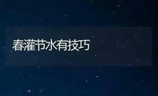 春天至夏初巧喂大牲畜 | 家畜养殖