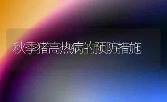 秋季猪高热病的预防措施 | 家畜养殖