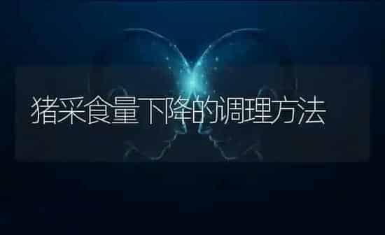 猪采食量下降的调理方法 | 家畜养殖