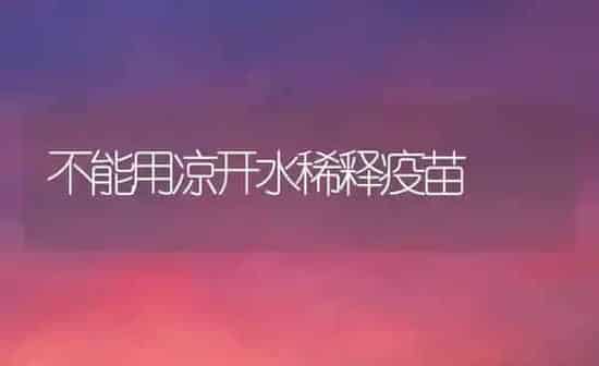 养殖生态鸡注意事项 | 家禽养殖