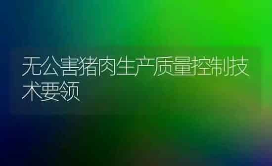 无公害猪肉生产质量控制技术要领 | 家畜养殖