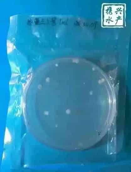 水产养殖户如何辨别优质乳酸菌和光合菌