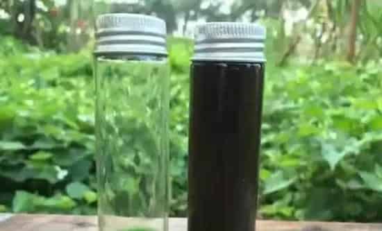 水产养殖户如何辨别优质乳酸菌和光合菌