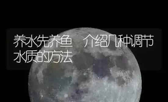 养水先养鱼 介绍几种调节水质的方法 | 动物养殖百科